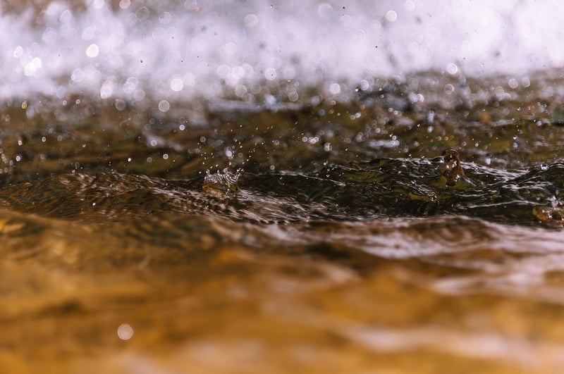 Liquid Delights
